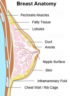 reconstruction Breast crease and Glory hole surprise jessica lynn