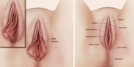 How Labiaplasty Surgery Can Enhance a Woman