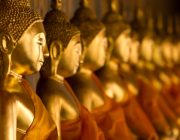 Line of Gold Buddhas in Bangkok and Phuket Thailand